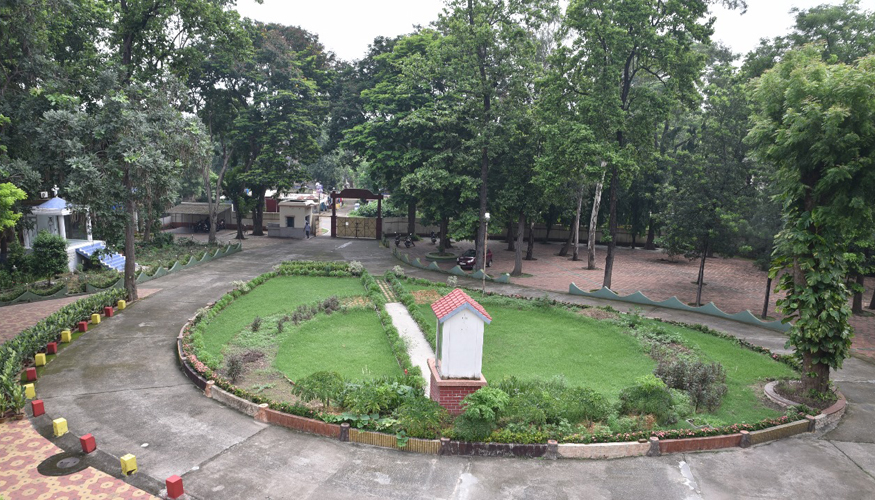 gallery